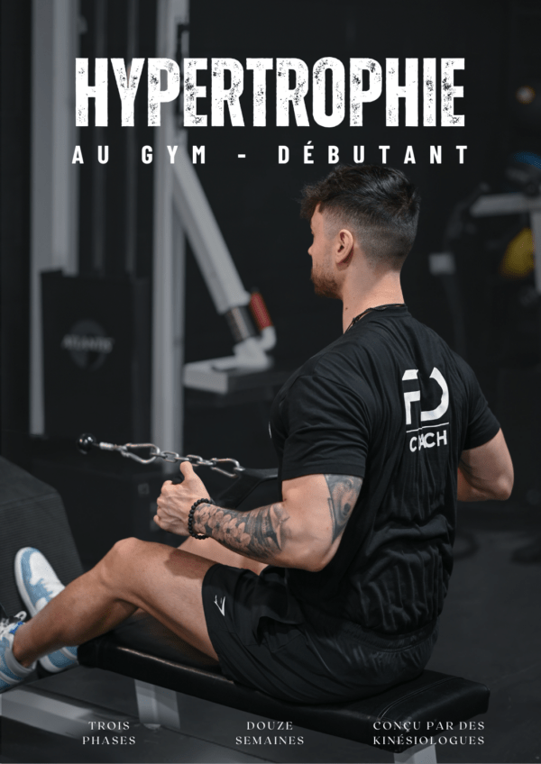 programme hypertrophie au gym débutant